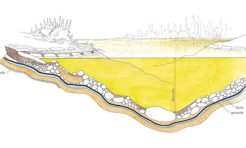 Schéma en coupe d'un étang artificiel mare dessin