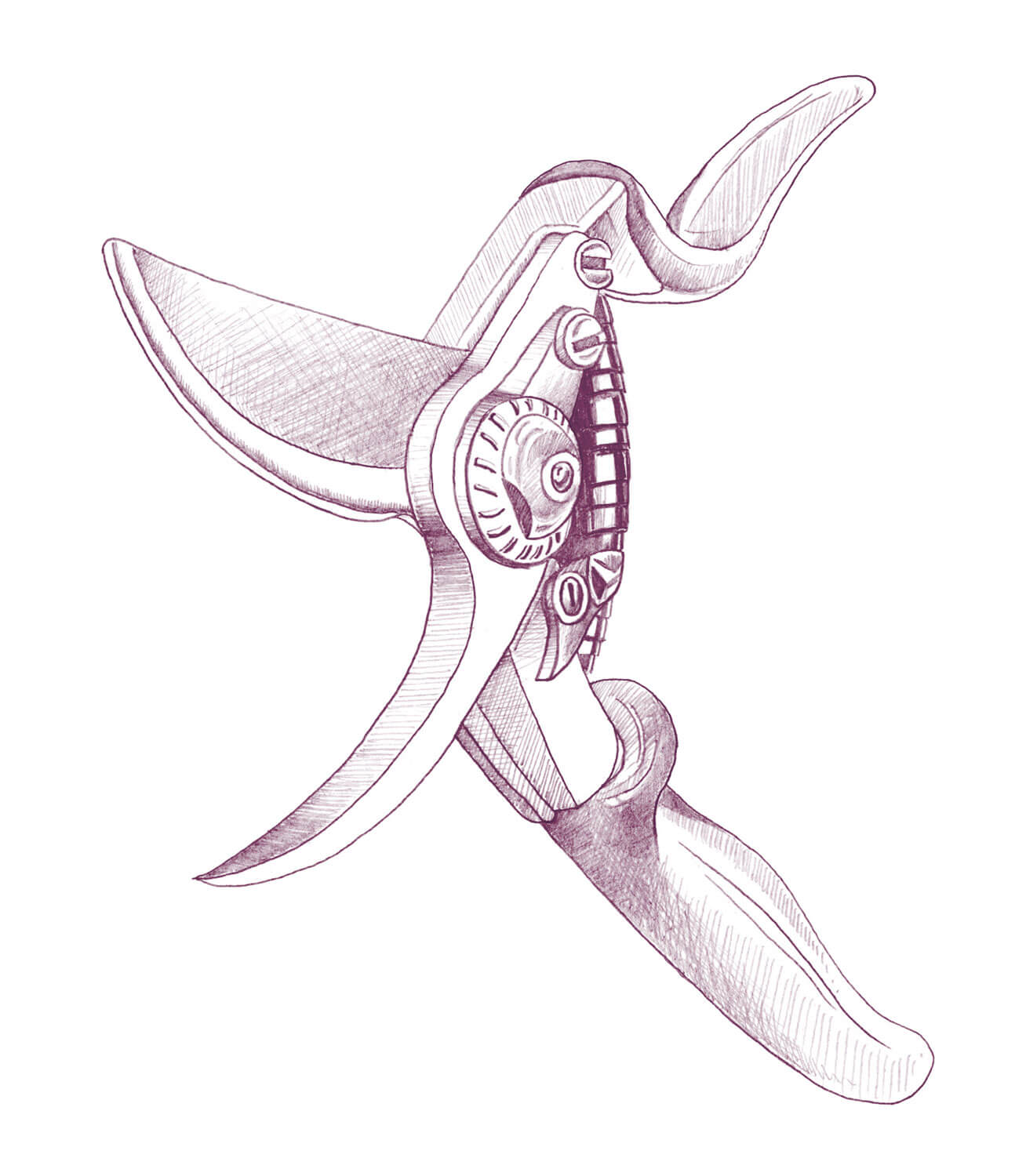 dessin Sécateur
