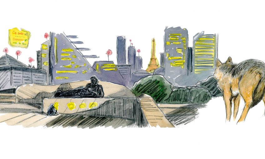 Quand un loup débarque en pleine ville de Paris - La Salamandre dessin Tsunehiko Kuwabara loup Paris
