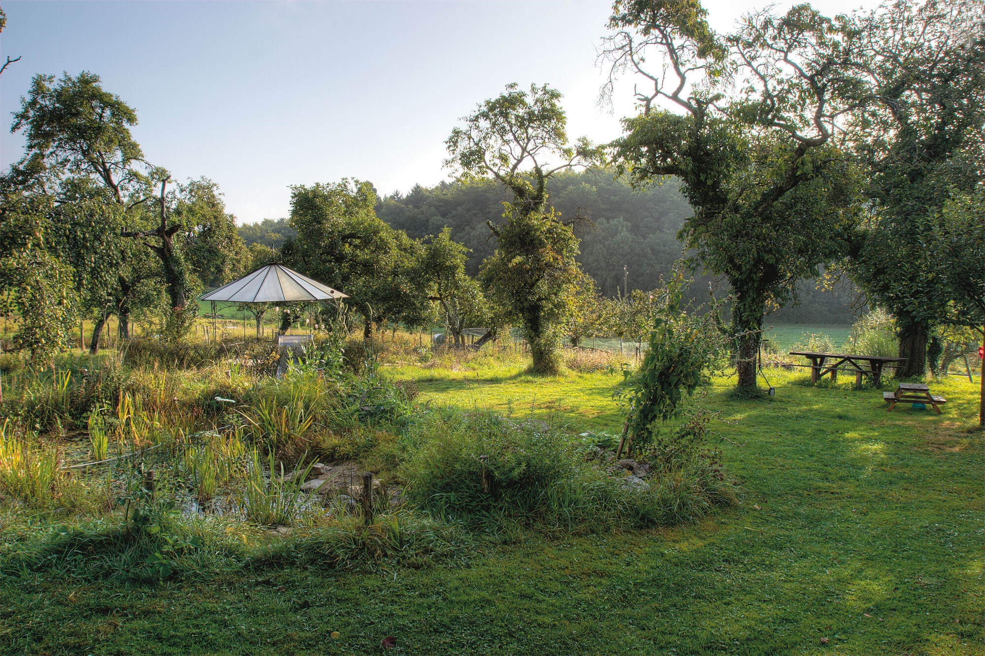Un jardin en été
