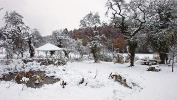 Un jardin en hiver