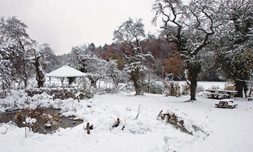 Un jardin en hiver neige