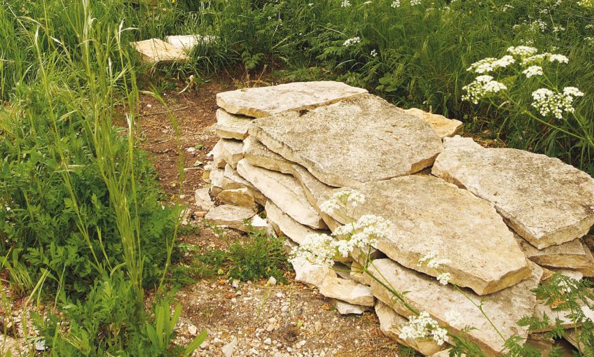 mur en pierres sèches