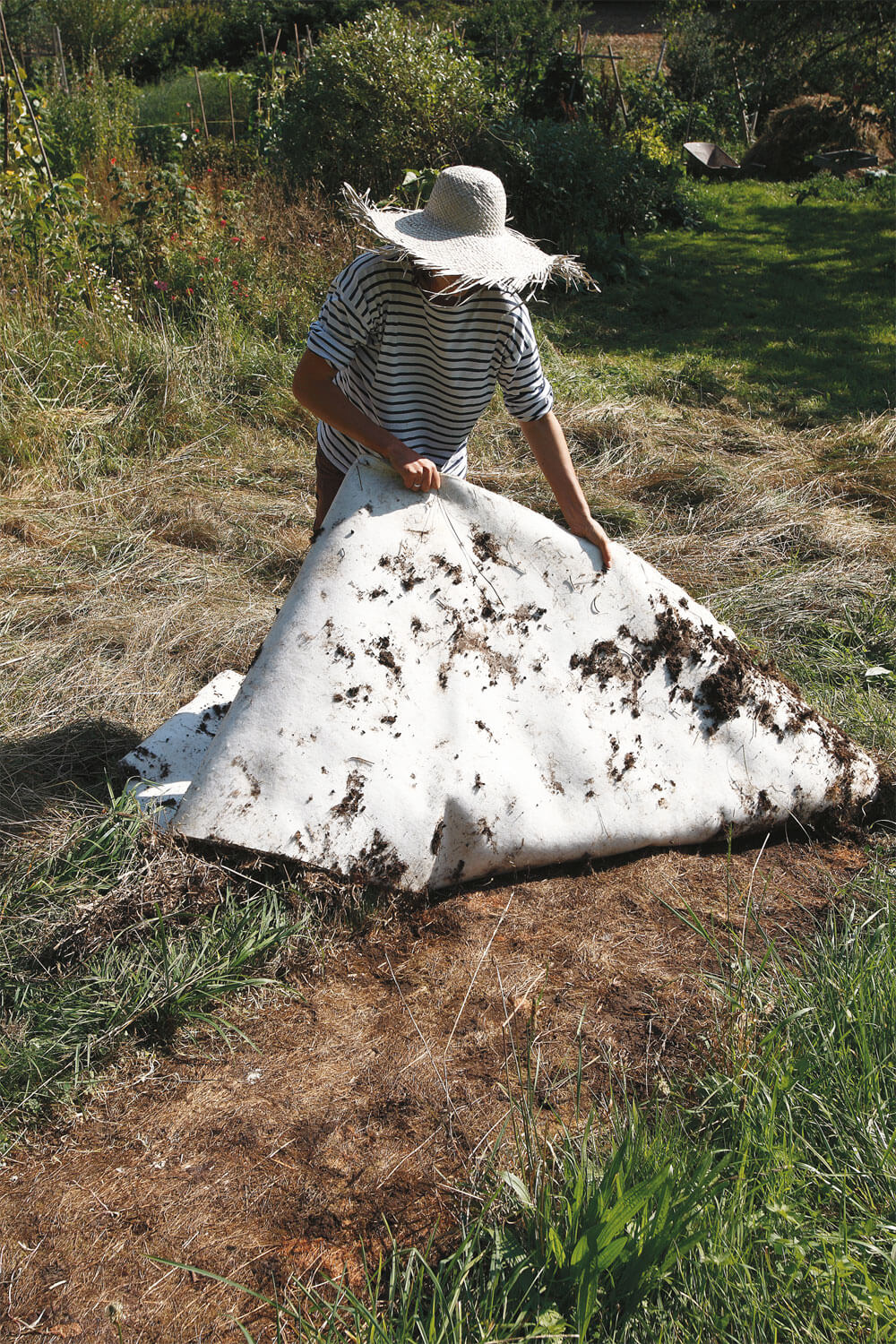 fleur sauvage jardin moquette désherbage chapeau