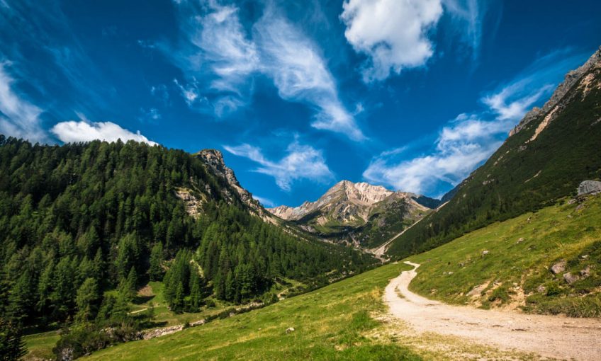 chemin montagne ciel nuage forêt