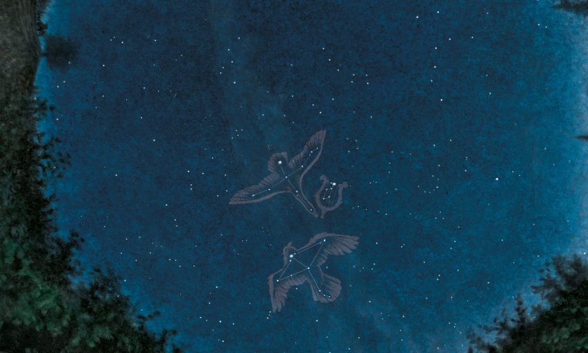 dessin nuit Deneb Cygne Altaïr Aigle Véga la Lyre étoiles