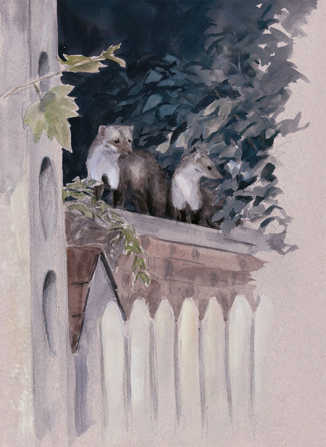 dessin nuit fouine muret