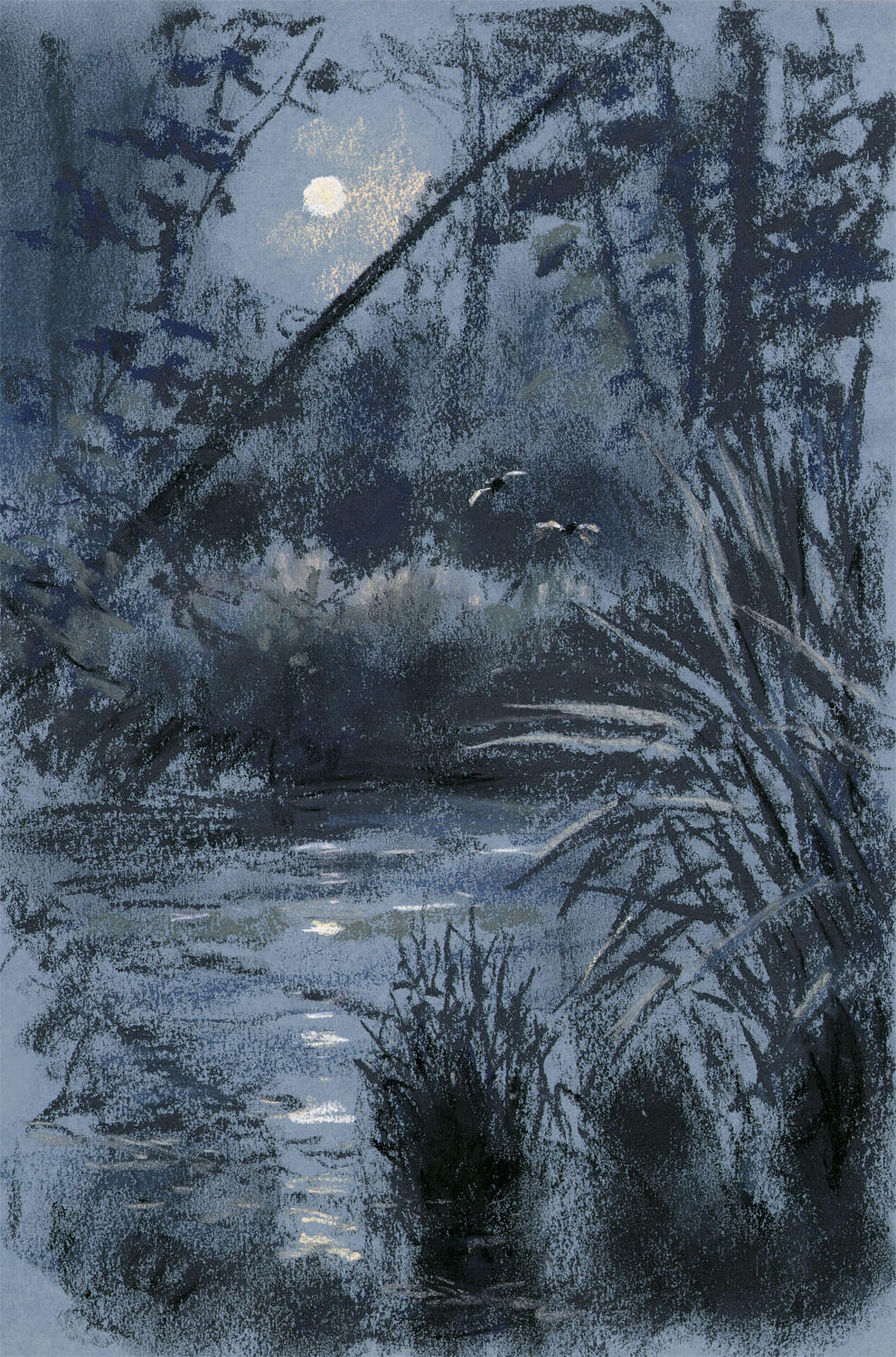 dessin nuit lac lune