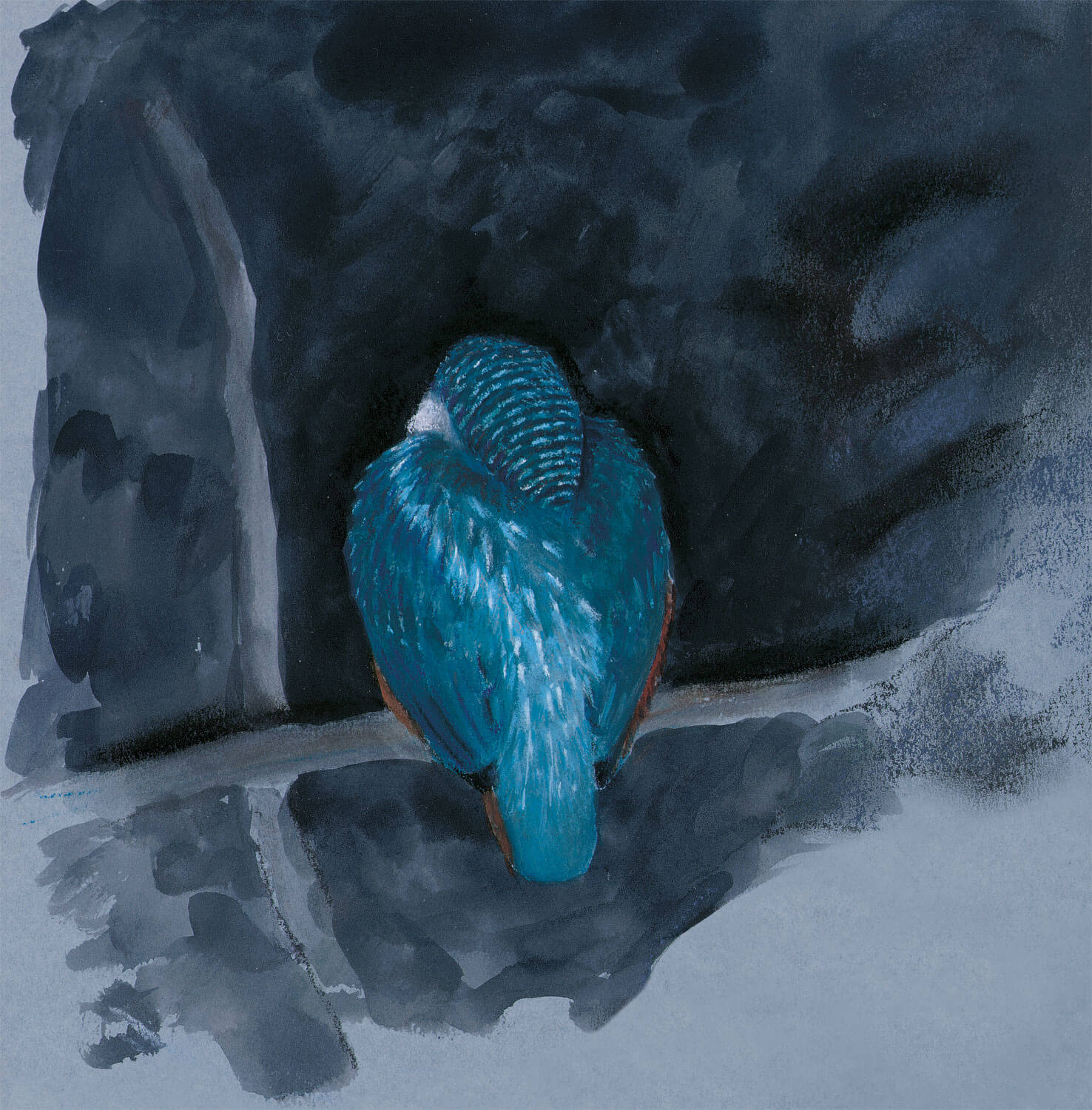 dessin nuit martin-pêcheur bleu