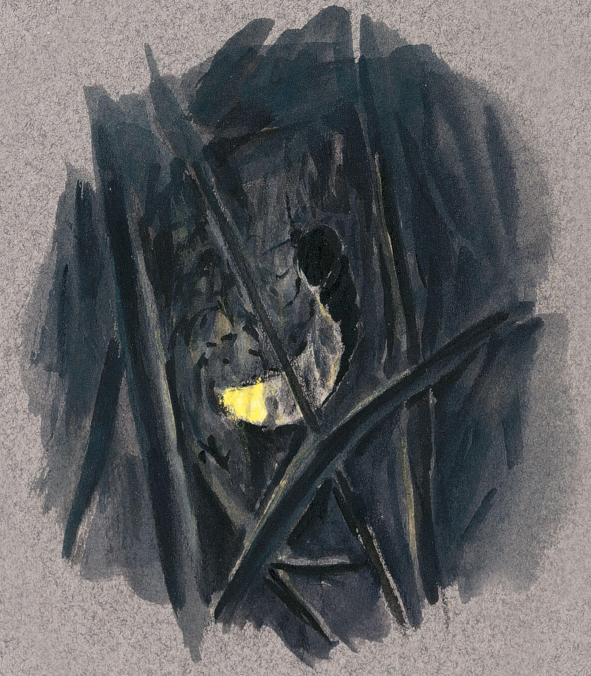 dessin nuit ver luisant