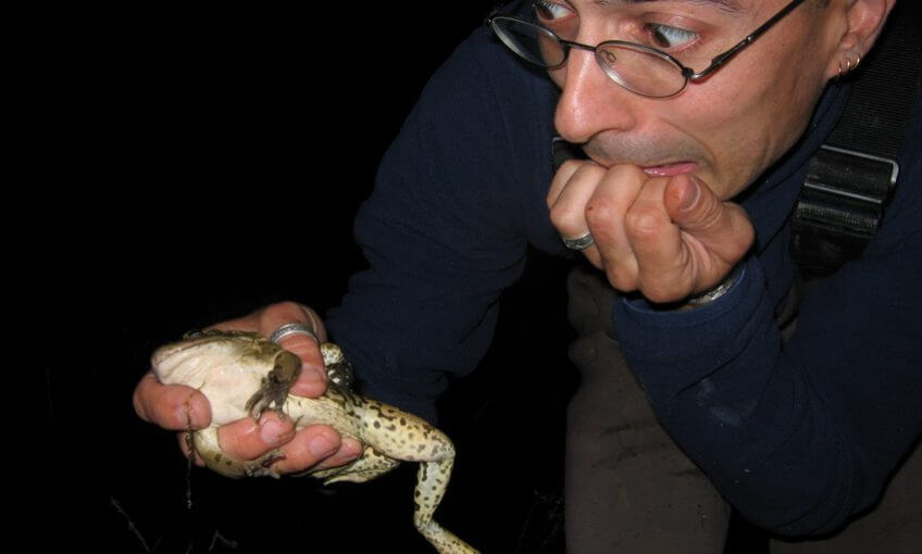 Le point sur le déclin des amphibiens avec Jean-Pierre Vacher - La Salamandre