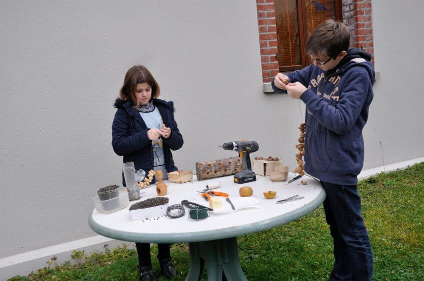 Comment nourrir correctement les oiseaux en hiver ?