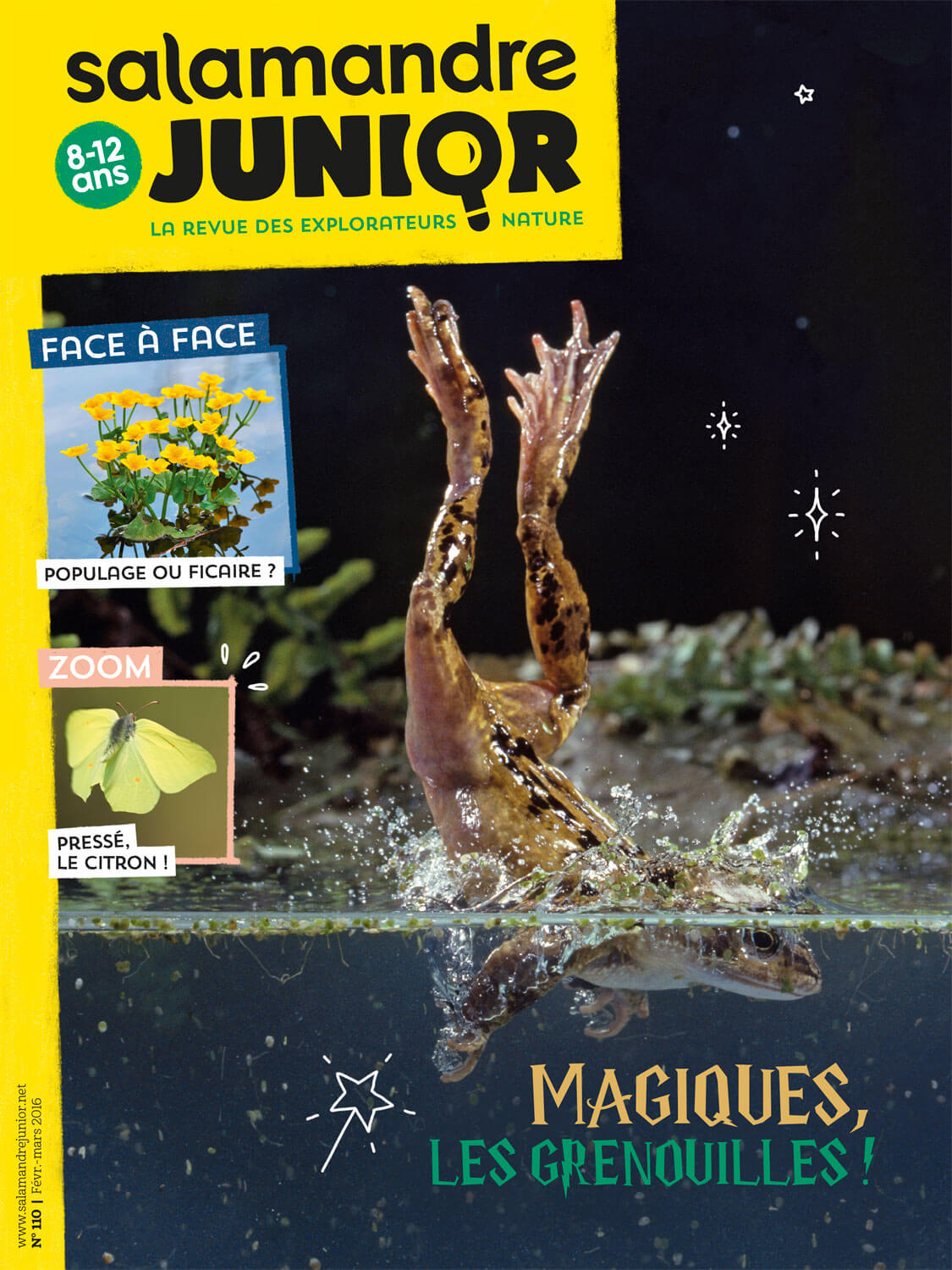 Ils se mouillent pour les grenouilles - La Salamandre salamandre junior grenouille