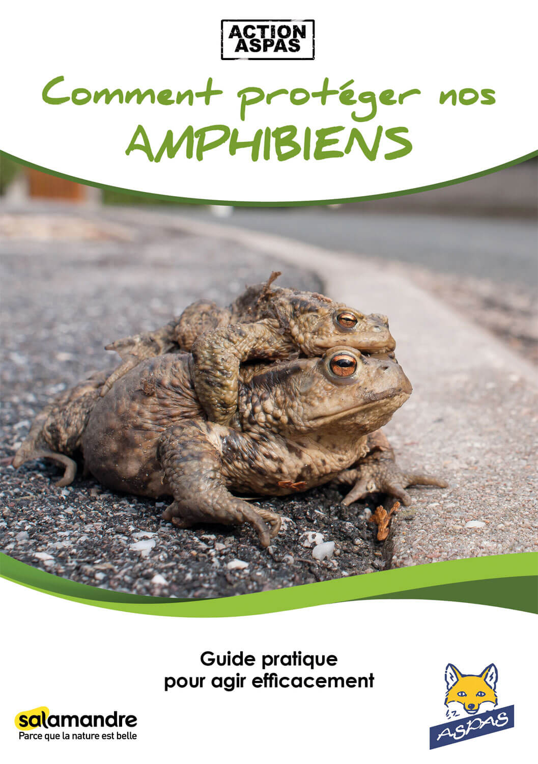 Ils se mouillent pour les grenouilles - La Salamandre Comment protéger nos amphibiens aspas livre