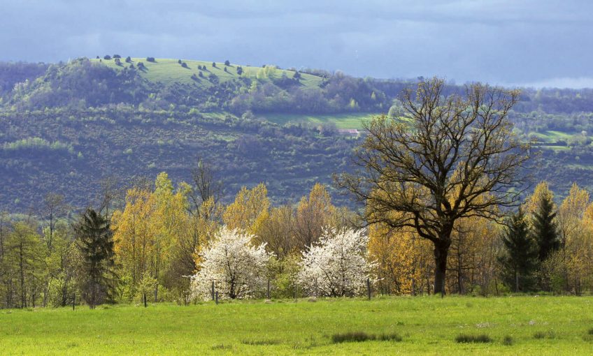 Natura 2000, le plus grand réseau de sites protégés est sauvé - La Salamandre site "Natura 2000" Petite Montagne du Jura campagne pré arbre
