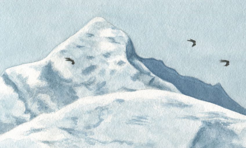 En suivant les milans noirs - La Salamandre dessin Milans noirs traversant les Alpes montagne neige vol