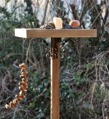 Comment nourrir correctement les oiseaux en hiver ?