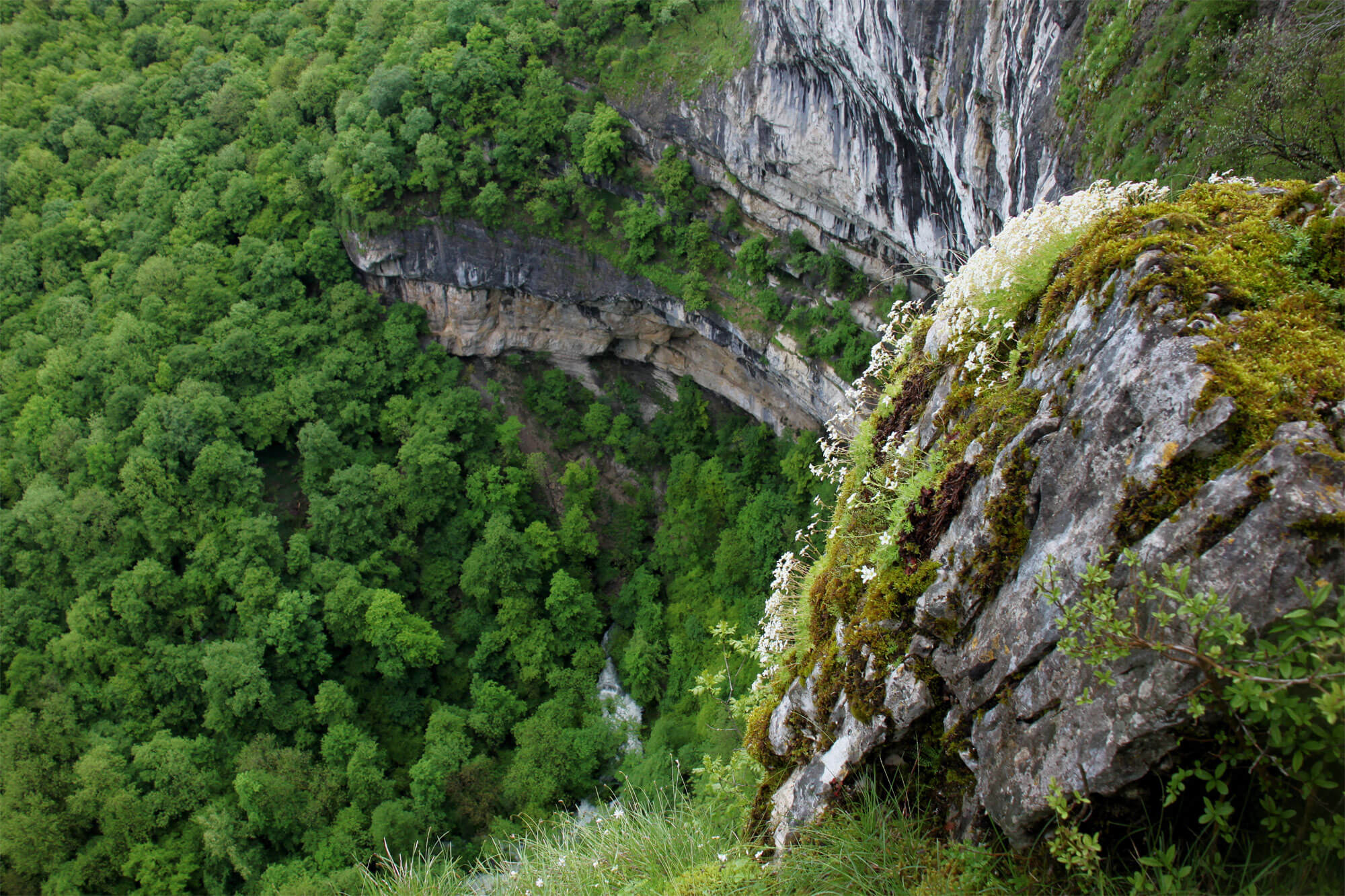 Balade au bord de la Loue - La Salamandre Reculée des Planches-près-Arbois gouffre