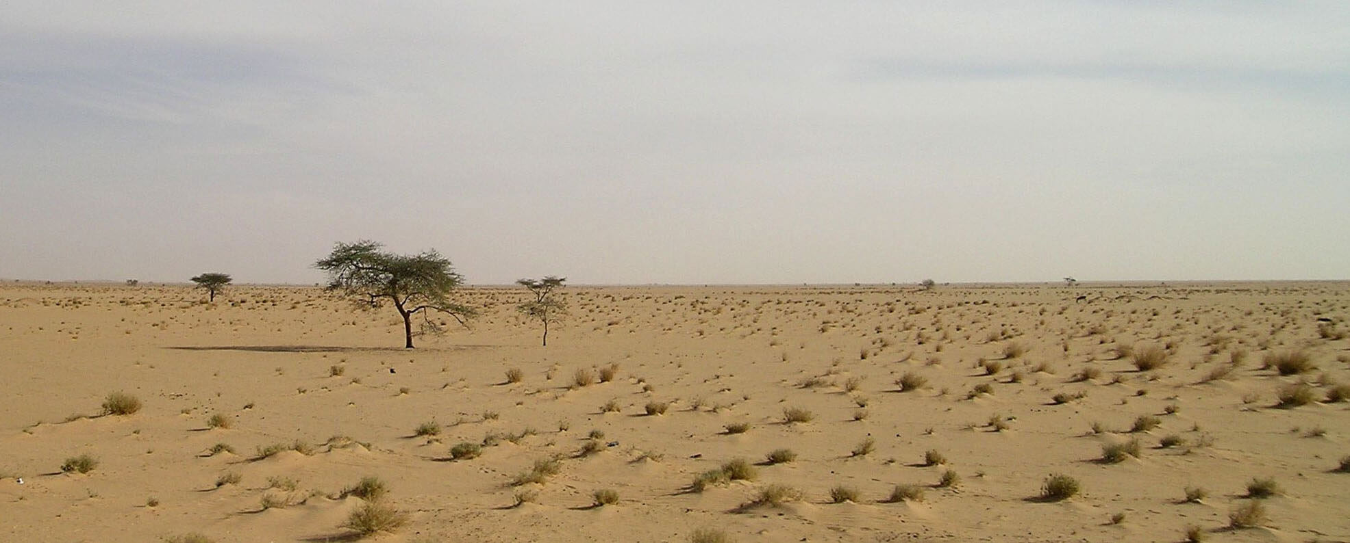 milan noir milou opération migration mauritanie désert