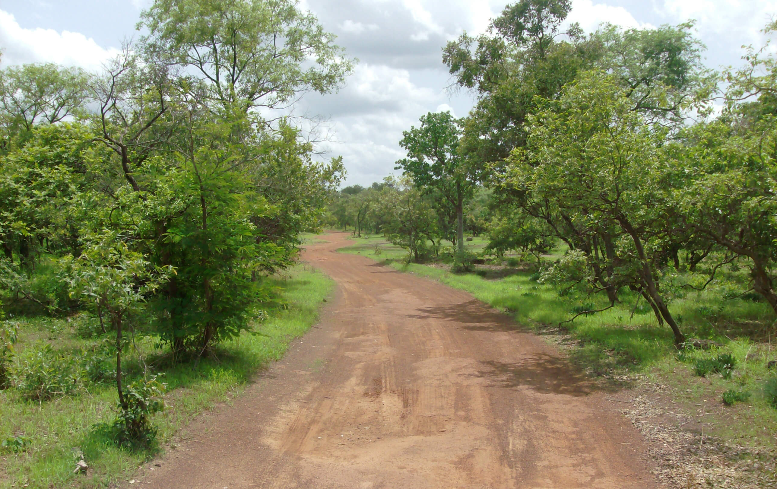 kundera mystérieux milan noir opération milan forêt Niokolo Koba National Park Senegal