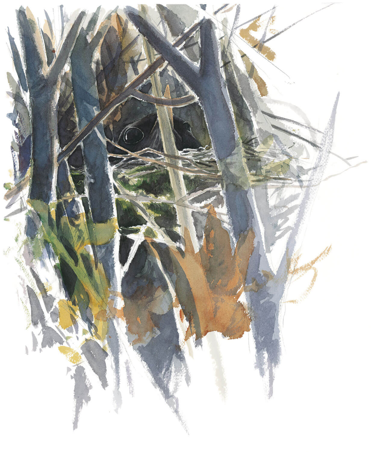 Balade d'avril avec les feuilles et les fleurs - La Salamandre dessin merle nid