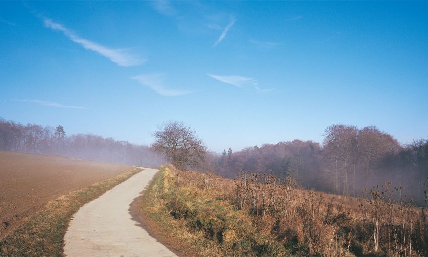 Balade de décembre, au douxième matin - La Salamandre sentier