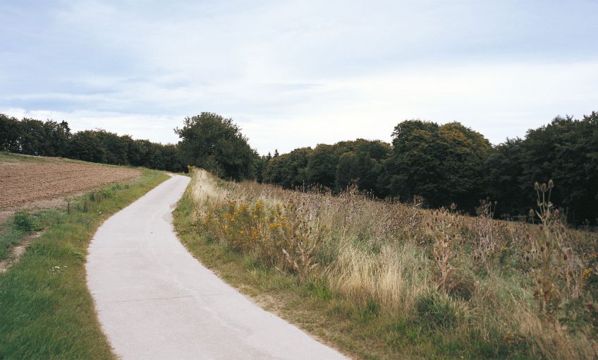 sentier Balade d'août, déjà l'automne ? - La Salamandre