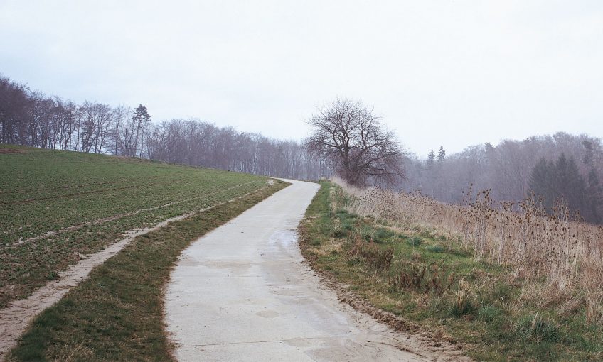Balade de mars, coup de froid - La Salamandre sentier nature arbre