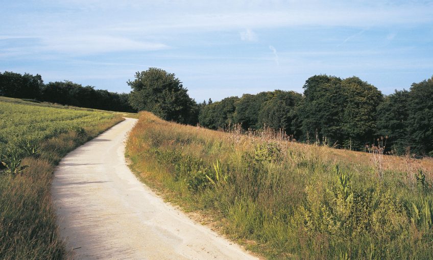 sentier Balade de mai, ivres de vie - La Salamandre