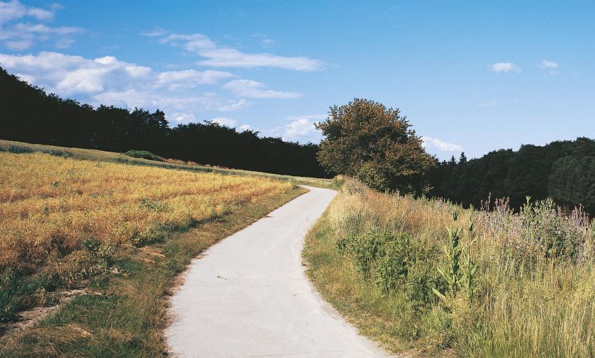 sentier balade de juin, ça sent les foins - La Salamandre