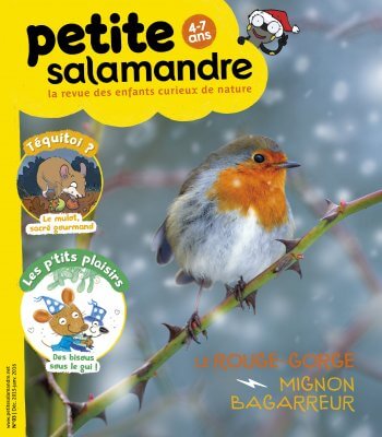 Couverture de La Petite Salamandre n°3