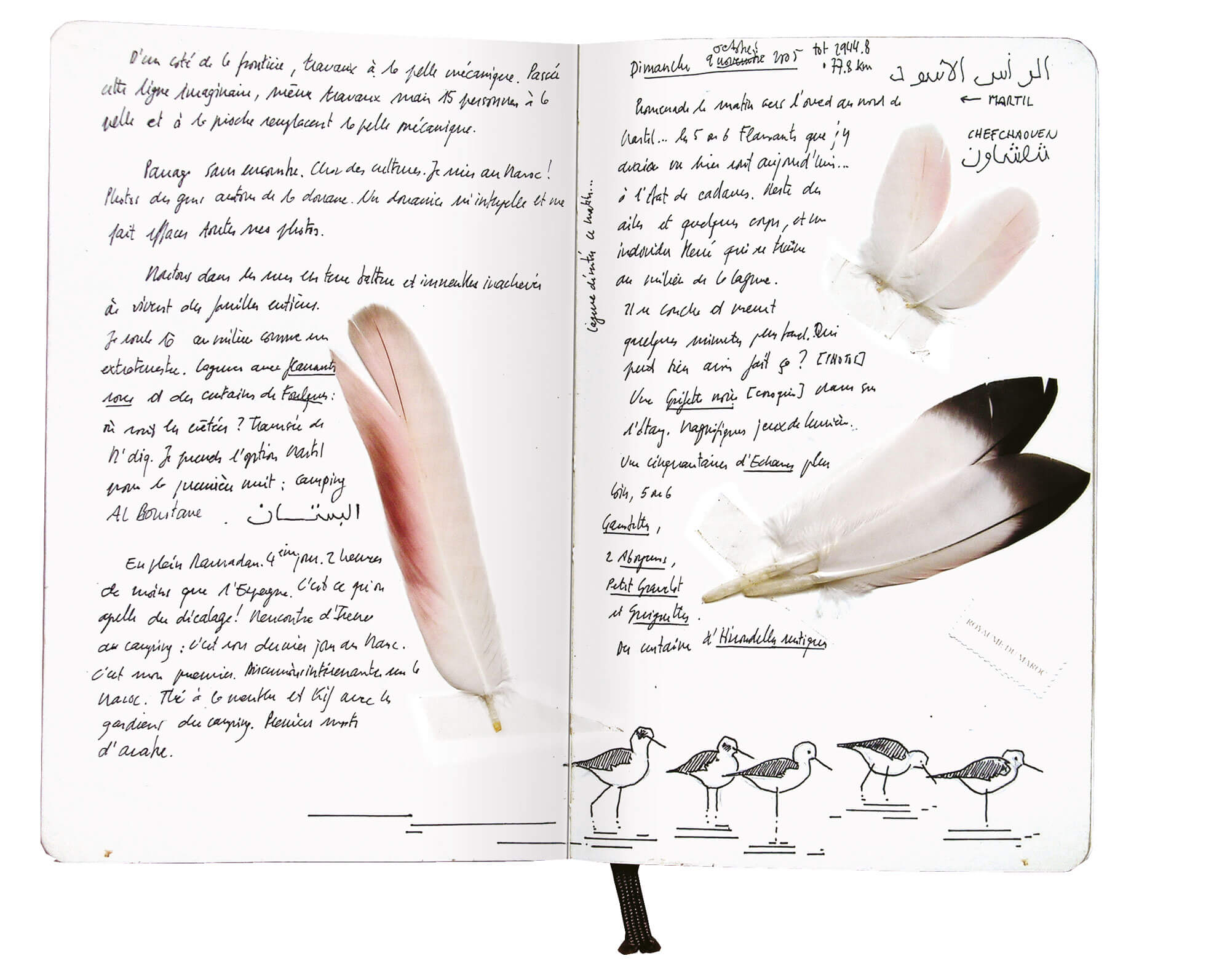 Troisième étape d'un voyage en suivant les oiseaux migrateurs - La Salamandre dessin carnet route plume