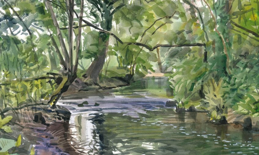 Dans ma rivière oubliée, peinture - La Salamandre