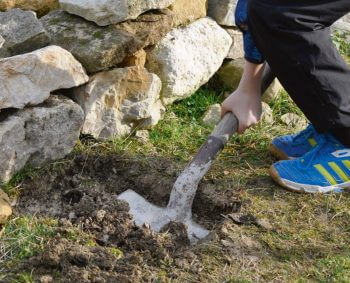 Faites une nurserie à lézards dans votre jardin