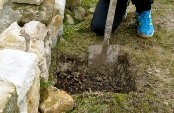 Faites une nurserie à lézards dans votre jardin