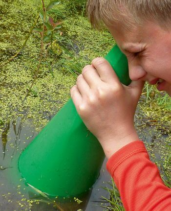 Comment observer facilement la vie aquatique dans une mare ?