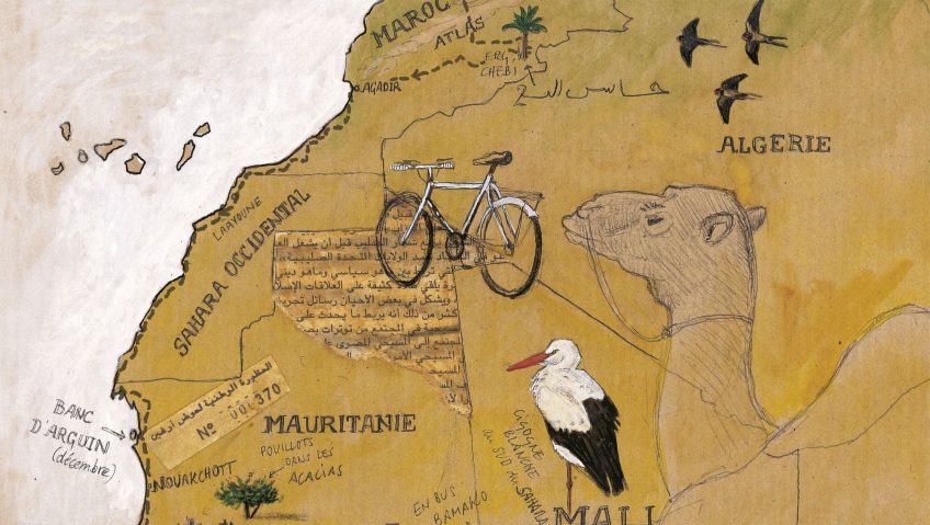 Huitième étape d'un voyage en suivant les oiseaux migrateurs - La Salamandre carte