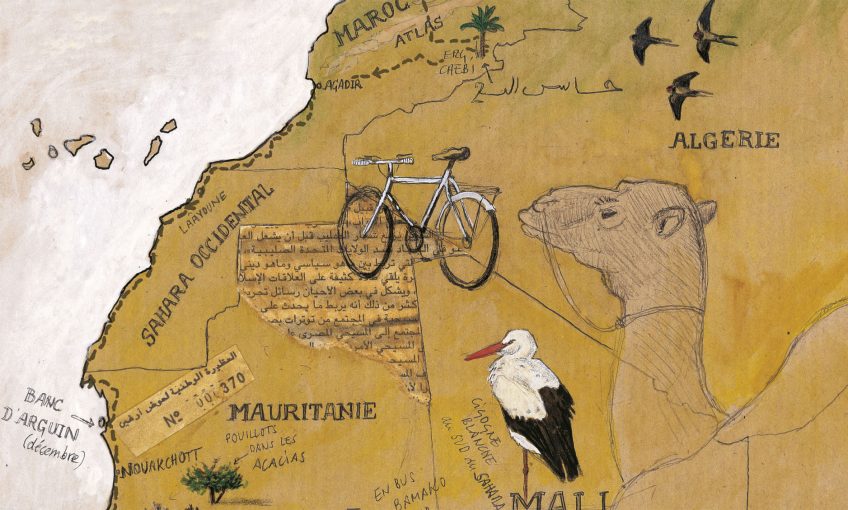 Huitième étape d'un voyage en suivant les oiseaux migrateurs - La Salamandre carte