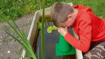 Comment observer facilement la vie aquatique dans une mare ?
