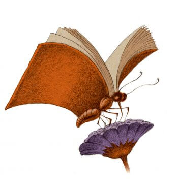Les papillons du Jura dans un livre - La Salamandre dessin ambroise heritier