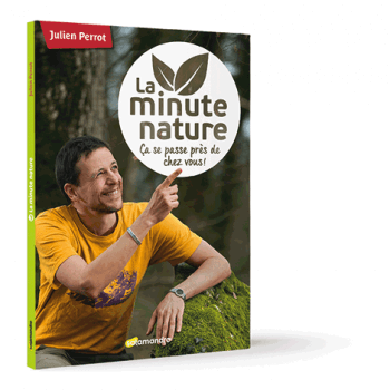 livre minute nature