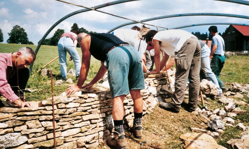 Relève bienvenue pour les murs de pierre- La Salamandre benevole