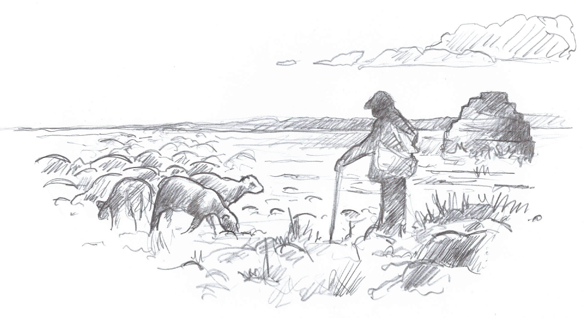 A l’abri des cabanes de pierres - La Salamandre dessin berger
