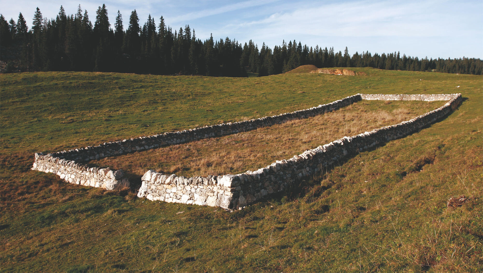 Les murs de pierres du canton de Vaud, des limites si claires - La Salamandre