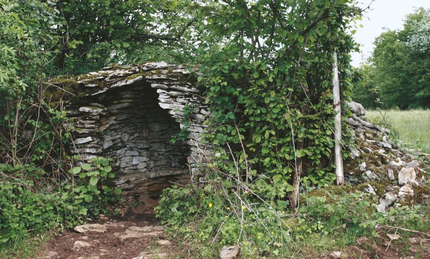 Déclin programmé des murs de pierres - La Salamandre