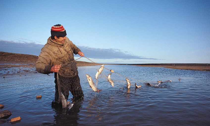 Danger climat pour les migrateurs - La Salamandre pêcheur