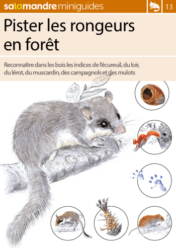 Miniguide 13 : Pister les rongeurs en forêt