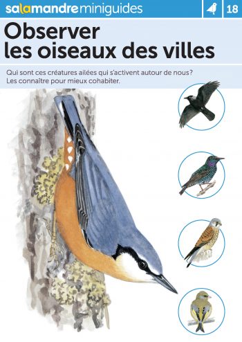 Miniguide 18 : Observer les oiseaux des villes