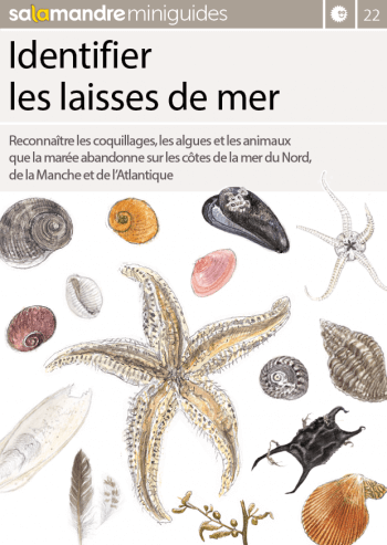 Miniguide 22 : Identifier les laisses de mer
