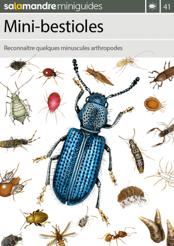 Miniguide 41 : Mini-bestioles